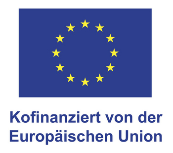 EU Logo